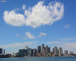 Boston - Whale Watching