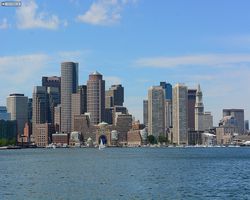 Boston - Whale Watching