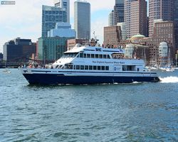 Boston - Whale Watching