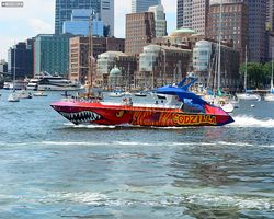 Boston - Whale Watching