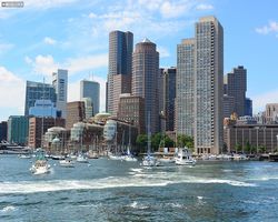 Boston - Whale Watching