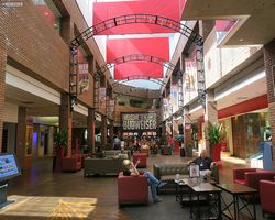 Missouri - St. Louis - Budweiser