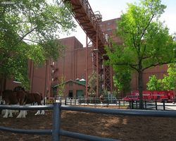 Missouri - St. Louis - Budweiser