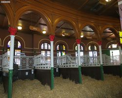 Missouri - St. Louis - Budweiser