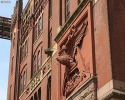 Missouri - St. Louis - Budweiser