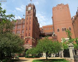 Missouri - St. Louis - Budweiser