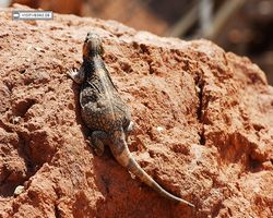Nevada - Hoover Dam 2010