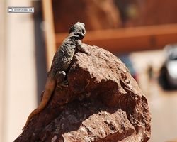 Nevada - Hoover Dam 2010