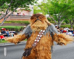 Nevada - Las Vegas - 4th of July Parade 2011