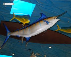 Nevada - Las Vegas - Bass Pro Stores Outdoor World