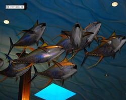 Nevada - Las Vegas - Bass Pro Stores Outdoor World