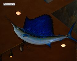 Nevada - Las Vegas - Bass Pro Stores Outdoor World