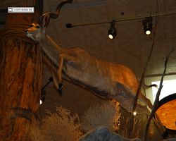 Nevada - Las Vegas - Bass Pro Stores Outdoor World