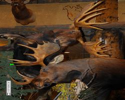 Nevada - Las Vegas - Bass Pro Stores Outdoor World