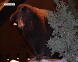 Nevada - Las Vegas - Bass Pro Stores Outdoor World