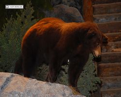 Nevada - Las Vegas - Bass Pro Stores Outdoor World