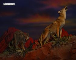 Nevada - Las Vegas - Bass Pro Stores Outdoor World