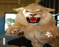 Nevada - Las Vegas - Bass Pro Stores Outdoor World