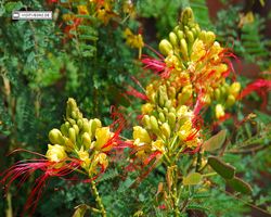 Nevada - Las Vegas - Bass Pro Stores Outdoor World