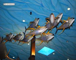 Nevada - Las Vegas - Bass Pro Stores Outdoor World