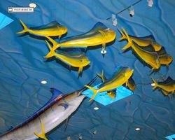 Nevada - Las Vegas - Bass Pro Stores Outdoor World