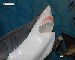 Nevada - Las Vegas - Bass Pro Stores Outdoor World