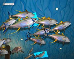 Nevada - Las Vegas - Bass Pro Stores Outdoor World