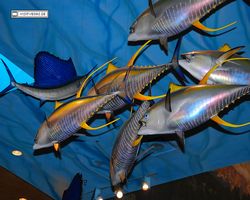 Nevada - Las Vegas - Bass Pro Stores Outdoor World