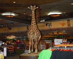 Nevada - Las Vegas - Bass Pro Stores Outdoor World