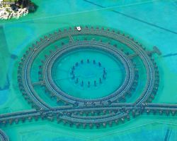 Nevada - Las Vegas - Hotels & Casinos - Bellagio