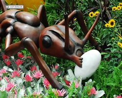 Nevada - Las Vegas - Bellagio Conservatory & Botanical Gardens