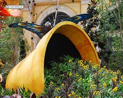 Bellagio Conservatory & Botanical Gardens