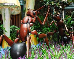 Nevada - Las Vegas - Bellagio Conservatory & Botanical Gardens