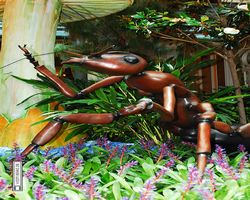 Nevada - Las Vegas - Bellagio Conservatory & Botanical Gardens