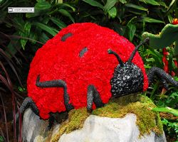 Nevada - Las Vegas - Bellagio Conservatory & Botanical Gardens