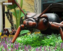 Nevada - Las Vegas - Bellagio Conservatory & Botanical Gardens