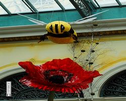 Nevada - Las Vegas - Bellagio Conservatory & Botanical Gardens