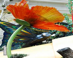 Nevada - Las Vegas - Bellagio Conservatory & Botanical Gardens