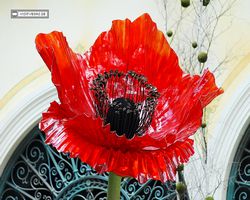 Nevada - Las Vegas - Bellagio Conservatory & Botanical Gardens