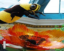 Nevada - Las Vegas - Bellagio Conservatory & Botanical Gardens