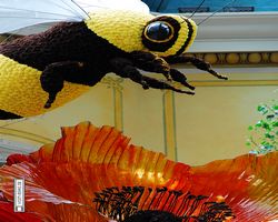 Nevada - Las Vegas - Bellagio Conservatory & Botanical Gardens