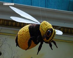 Nevada - Las Vegas - Bellagio Conservatory & Botanical Gardens