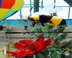 Nevada - Las Vegas - Bellagio Conservatory & Botanical Gardens