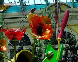 Bellagio Conservatory & Botanical Gardens