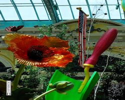 Nevada - Las Vegas - Bellagio Conservatory & Botanical Gardens