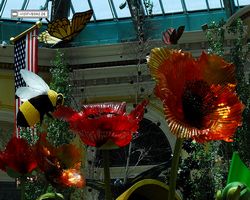 Nevada - Las Vegas - Bellagio Conservatory & Botanical Gardens