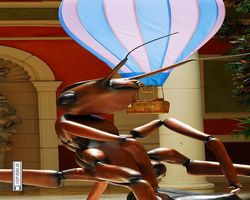 Nevada - Las Vegas - Bellagio Conservatory & Botanical Gardens