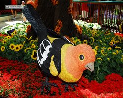 Nevada - Las Vegas - Bellagio Conservatory & Botanical Gardens