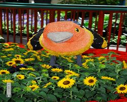 Nevada - Las Vegas - Bellagio Conservatory & Botanical Gardens