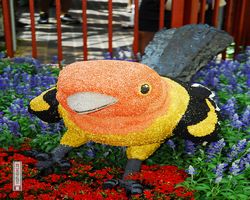 Nevada - Las Vegas - Bellagio Conservatory & Botanical Gardens